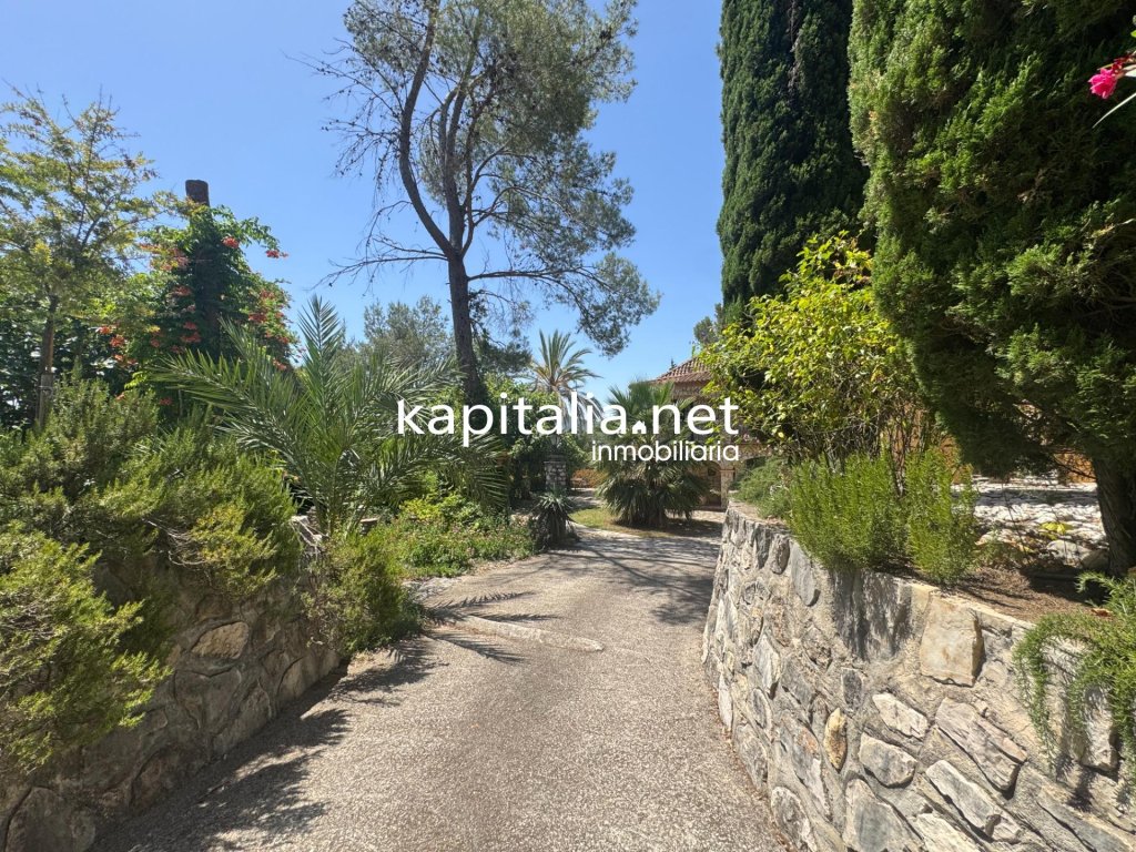Featured Photo