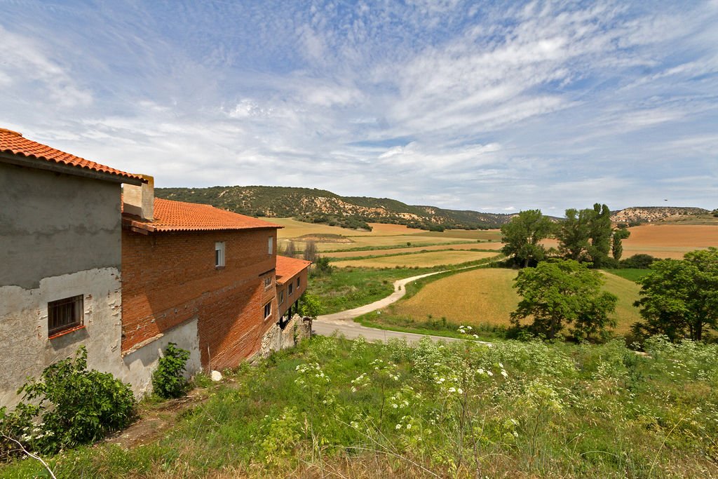 Featured Photo