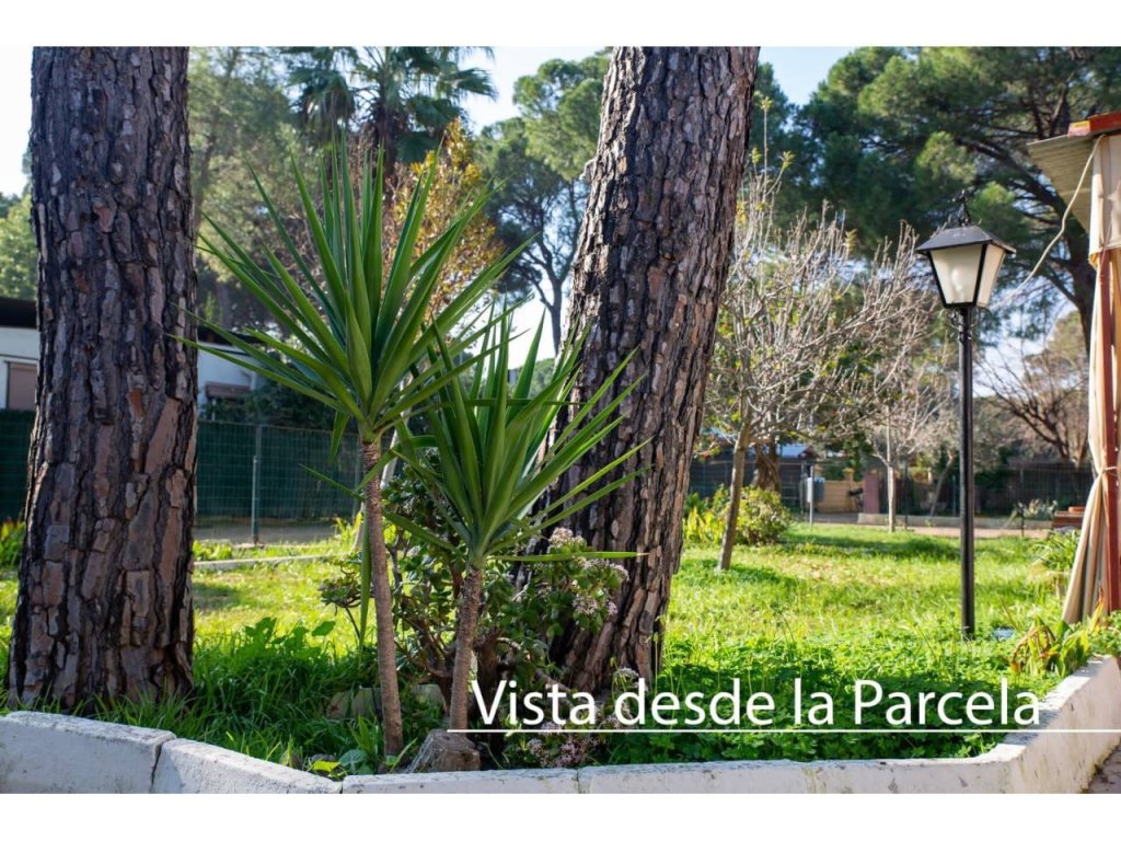 Featured Photo