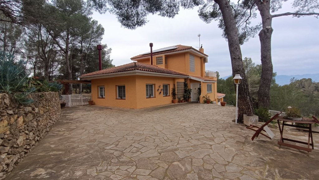 Featured Photo