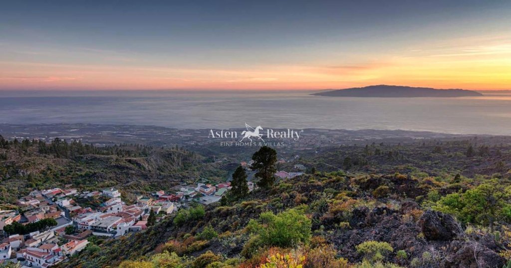 Featured Photo