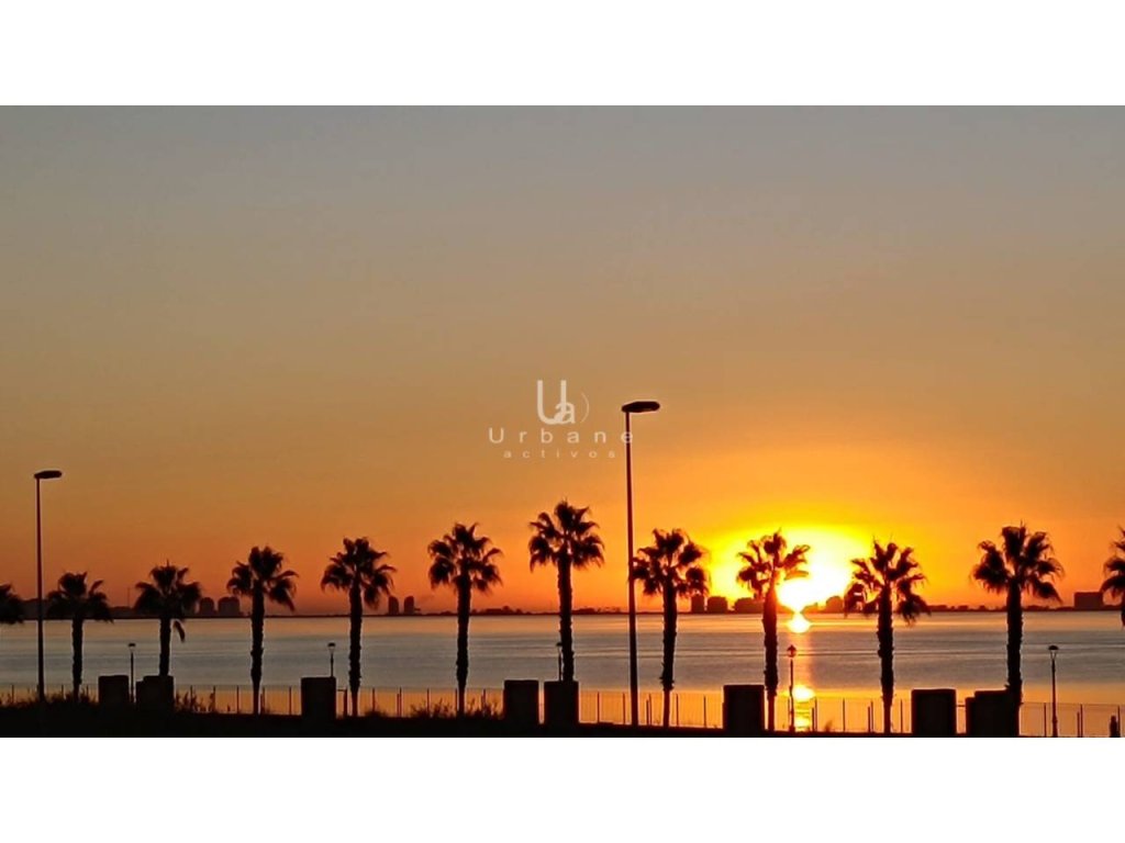 Featured Photo