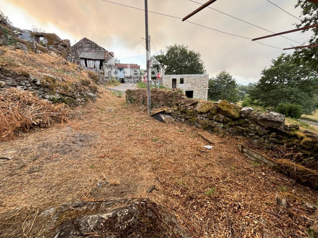 Featured Photo