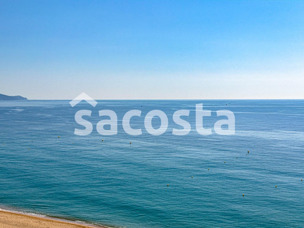 Featured Photo