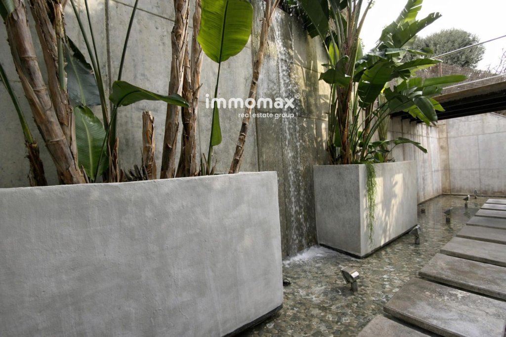 Featured Photo
