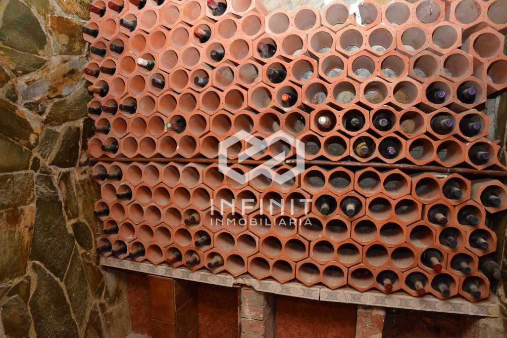 Featured Photo