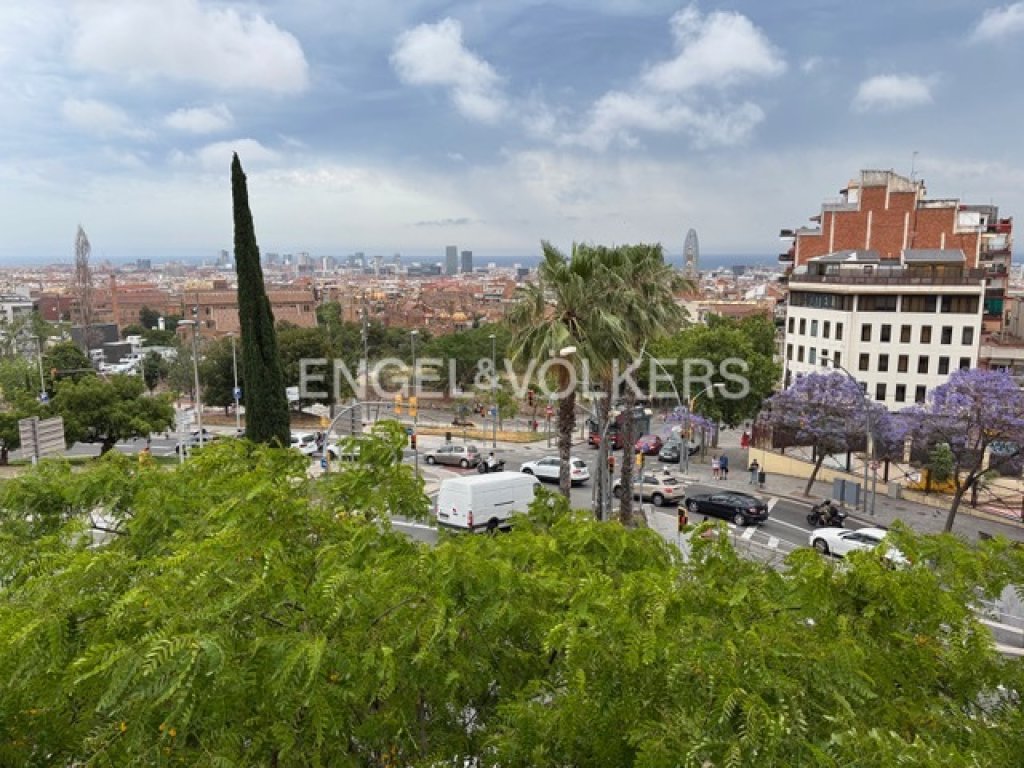 Featured Photo