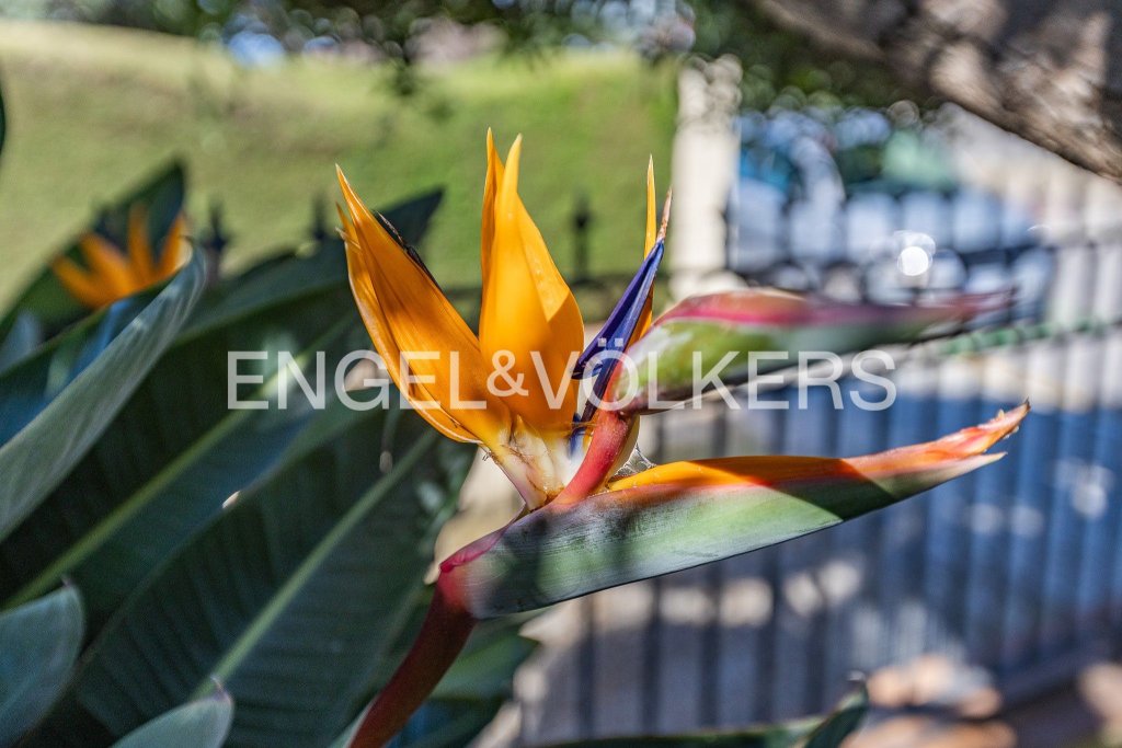 Featured Photo