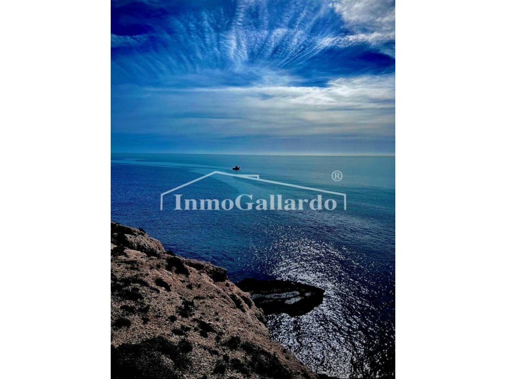 Featured Photo