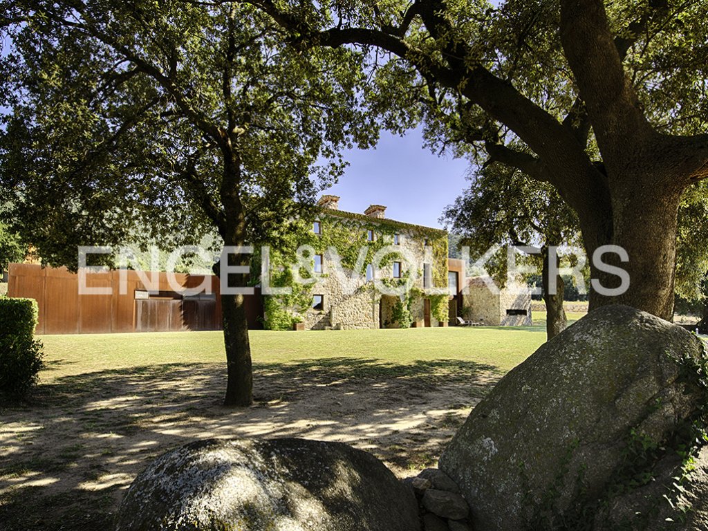 Featured Photo
