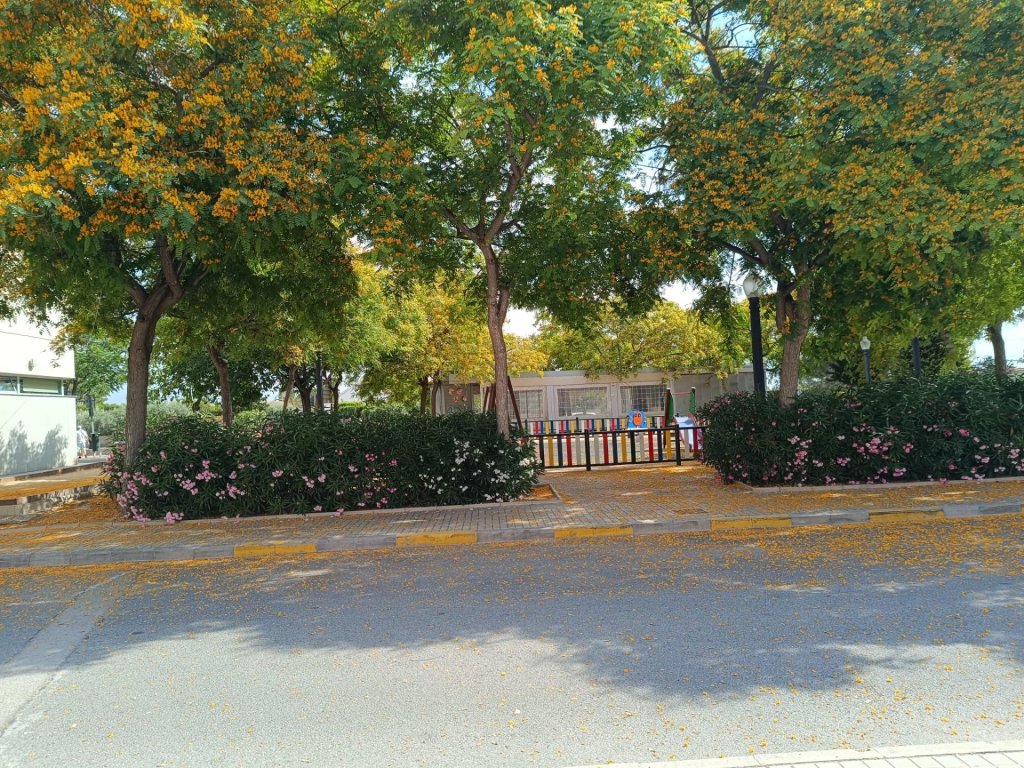 Featured Photo