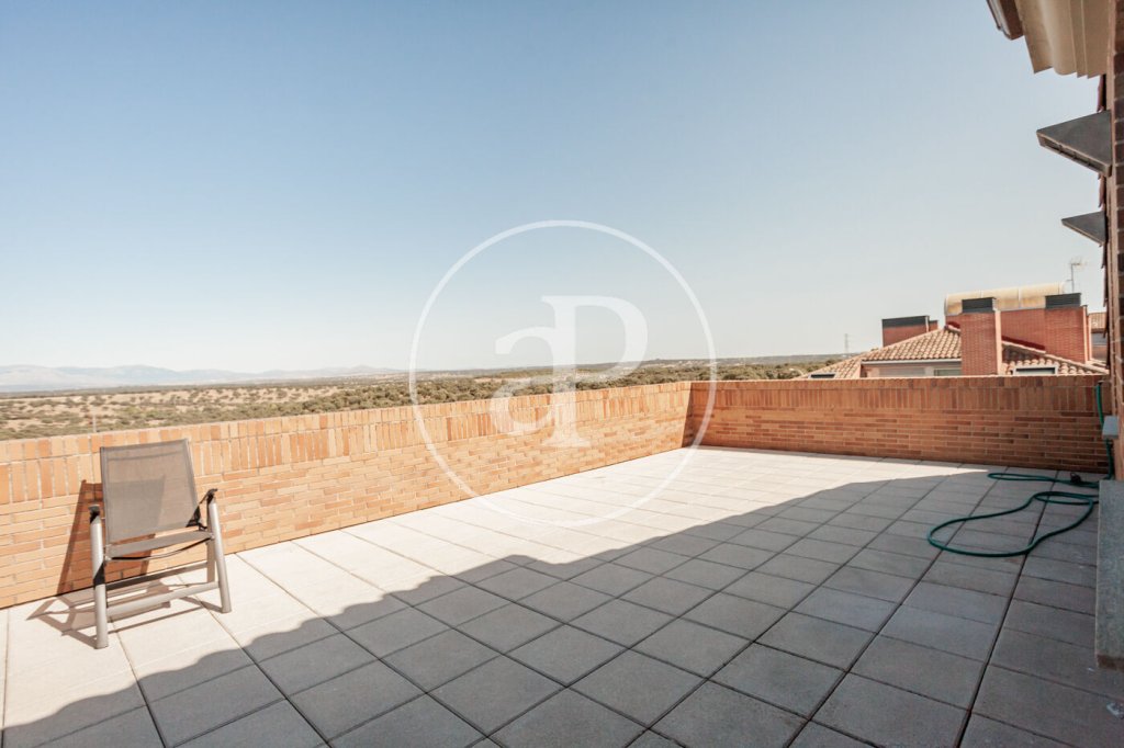 Featured Photo