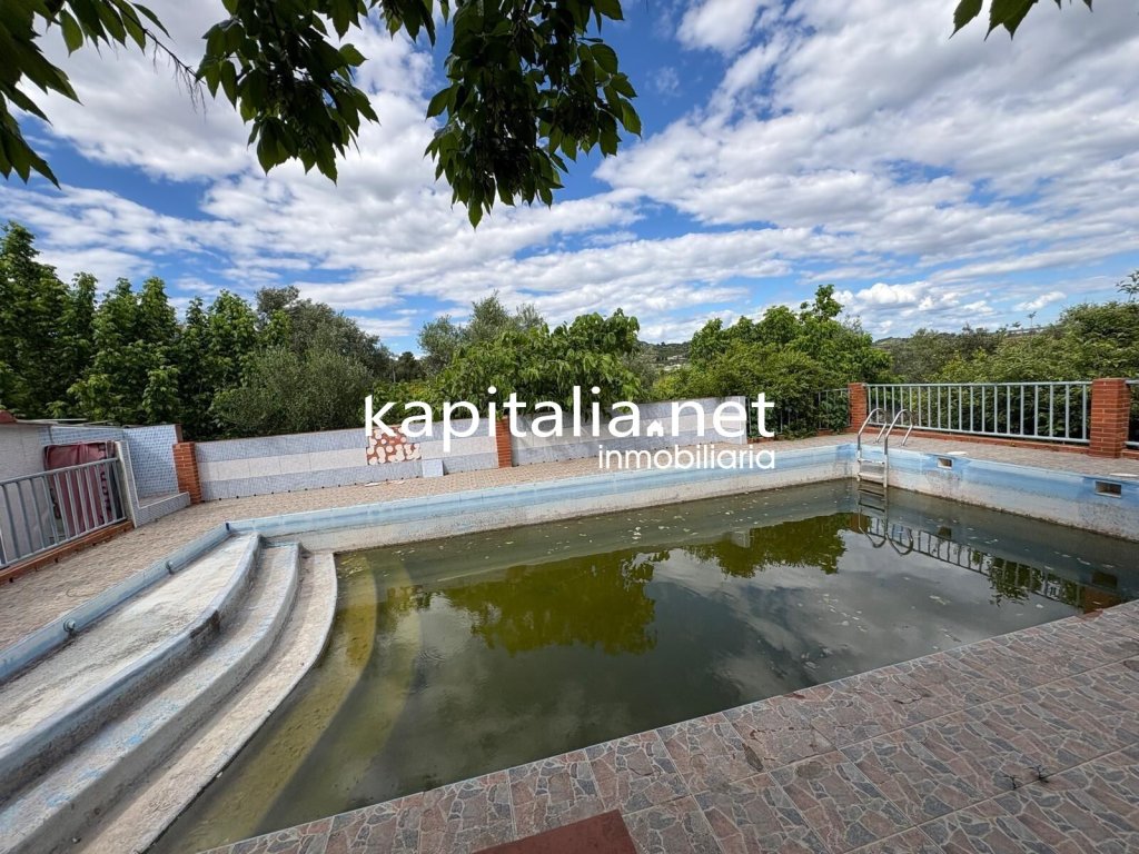 Featured Photo