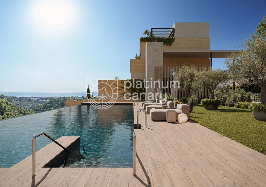 Featured Photo