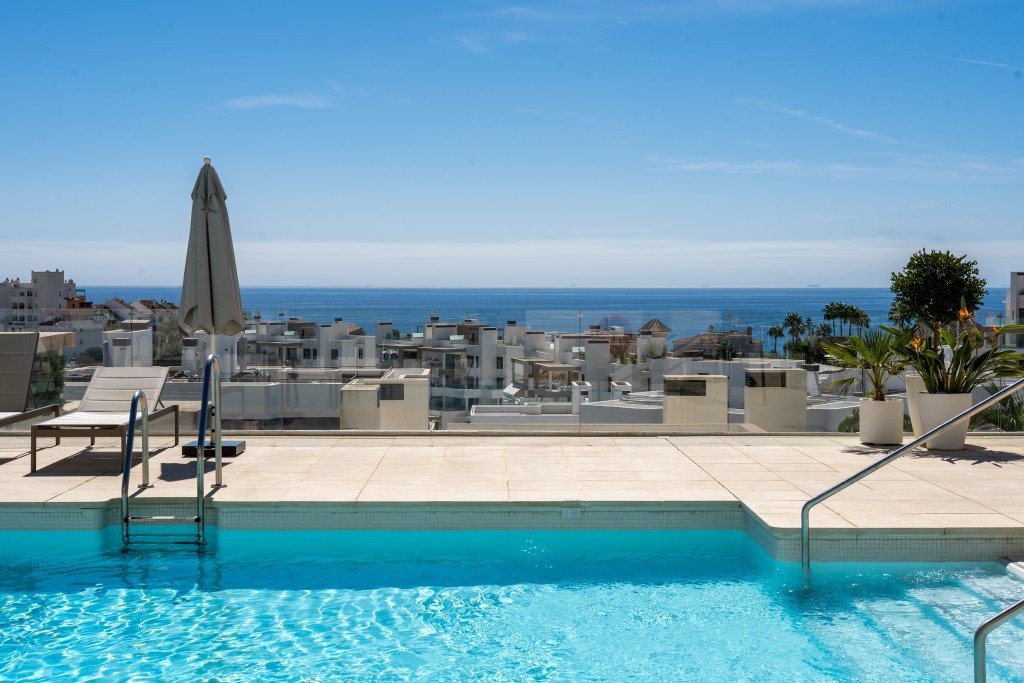 Featured Photo