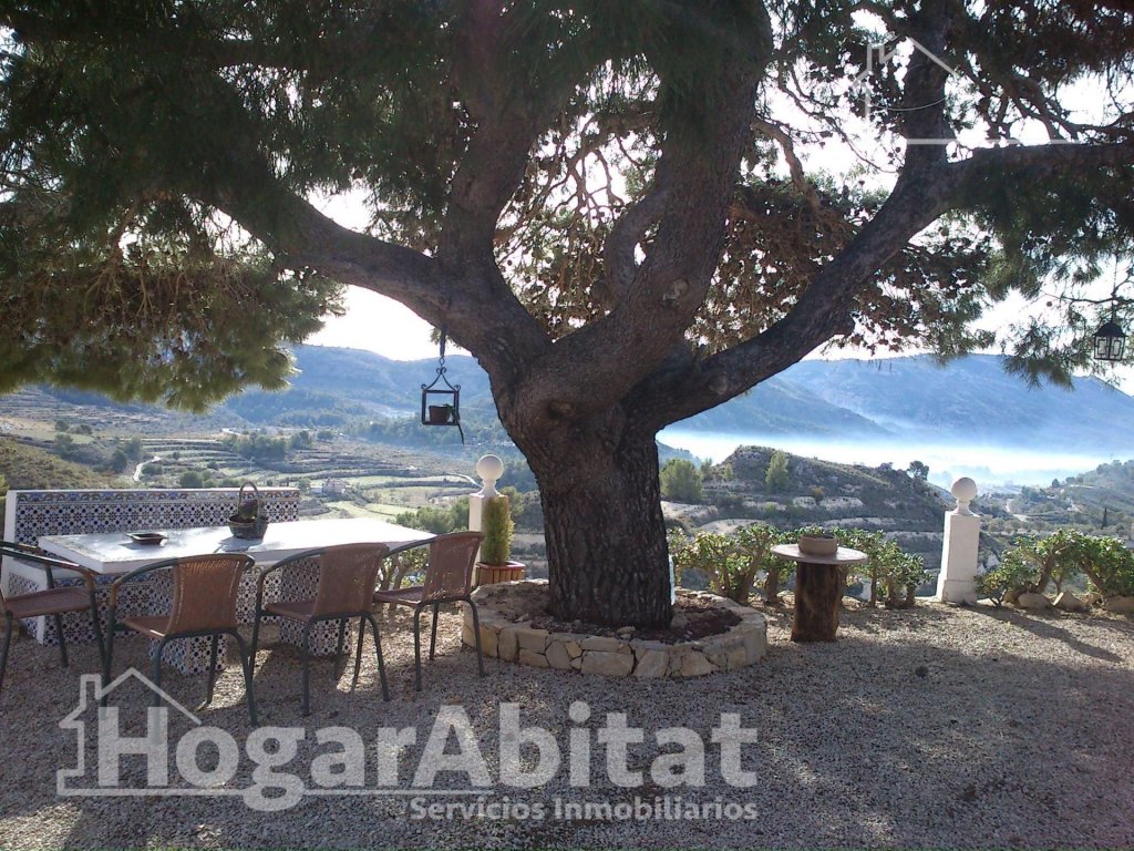 Featured Photo