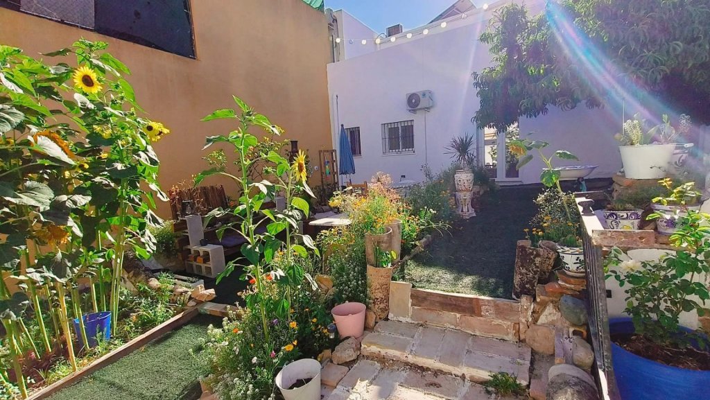 Featured Photo