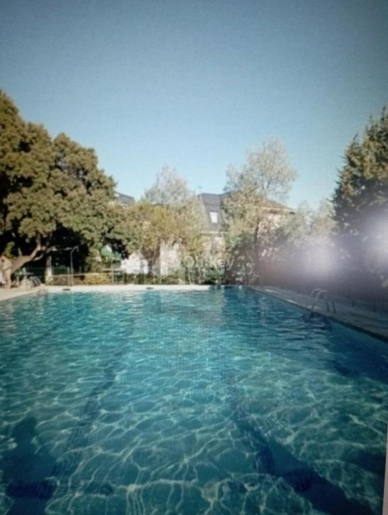 Featured Photo