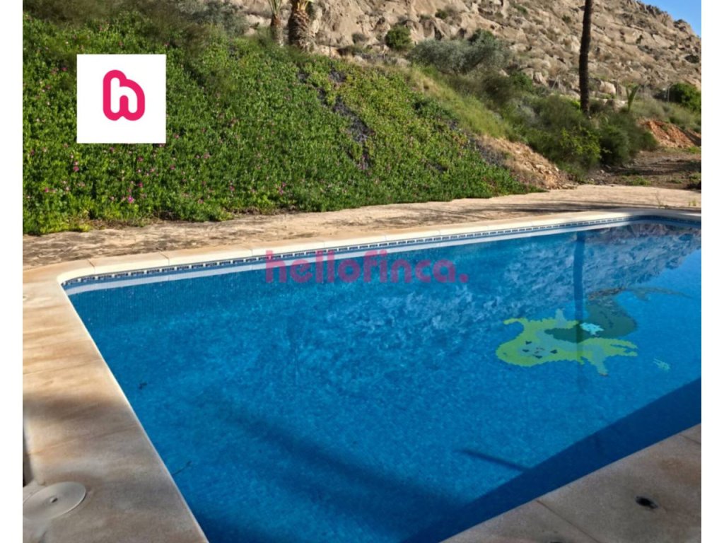 Featured Photo