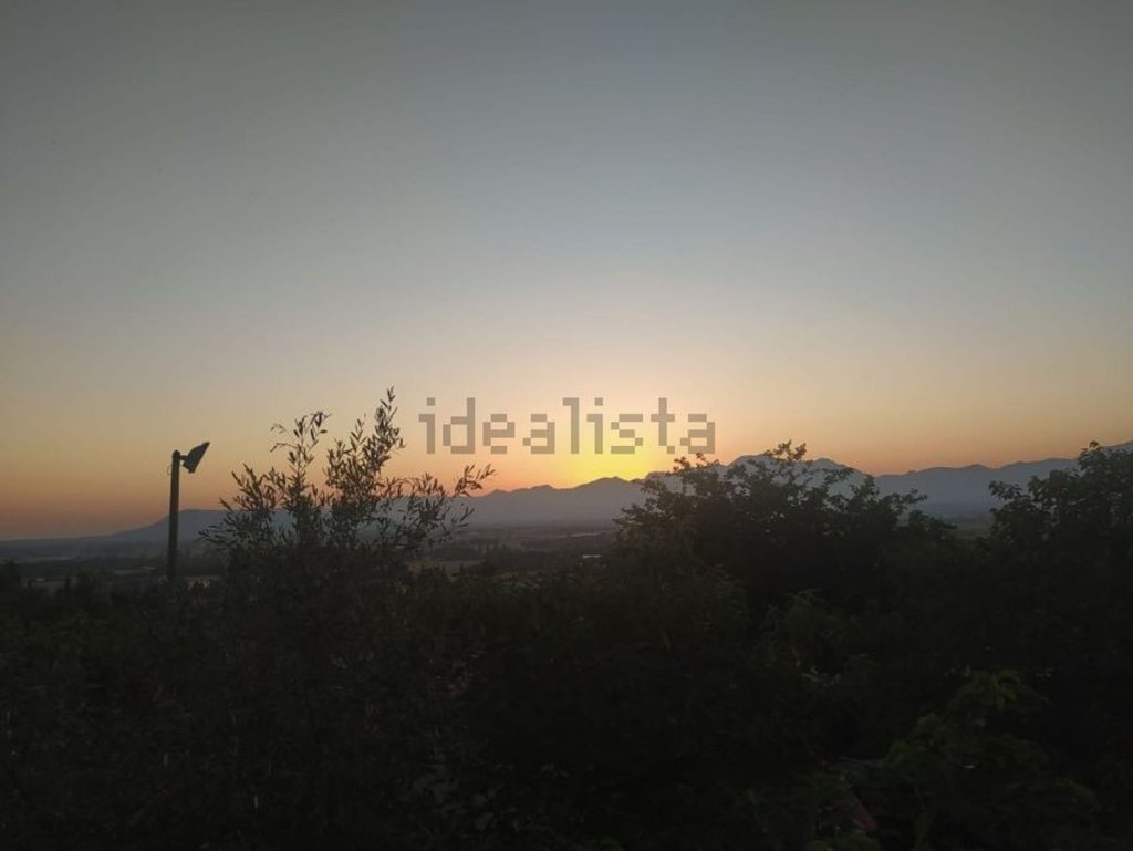 Featured Photo