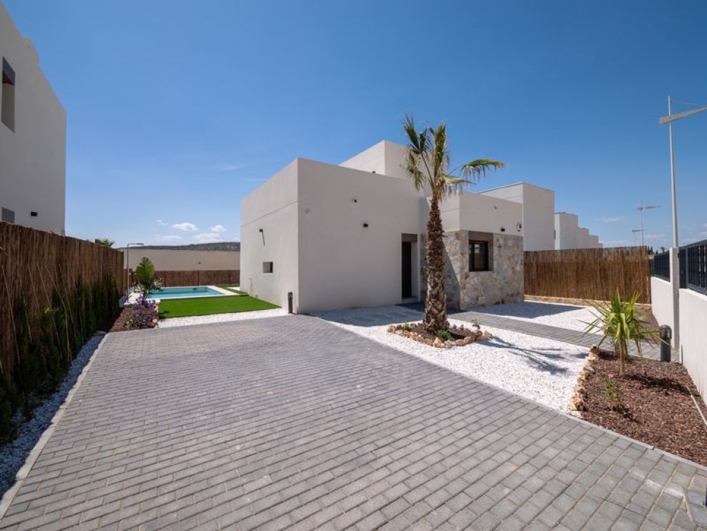 Featured Photo