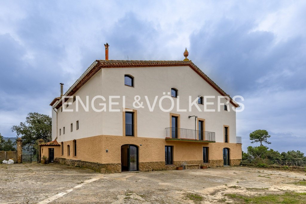 Featured Photo
