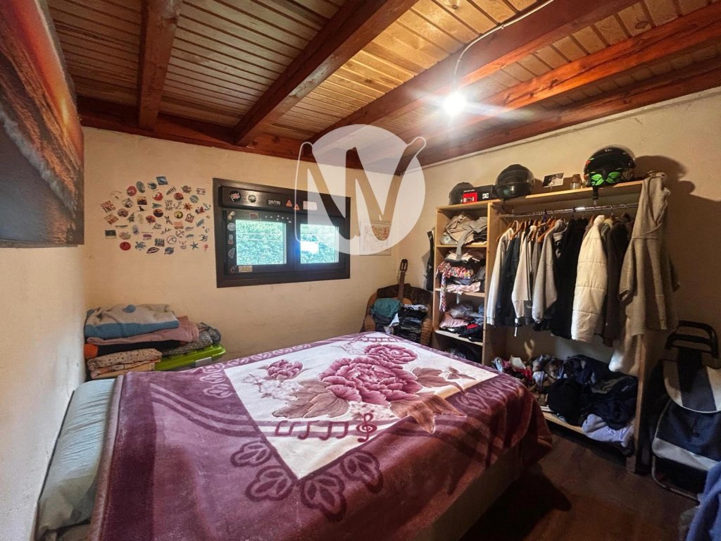 Featured Photo