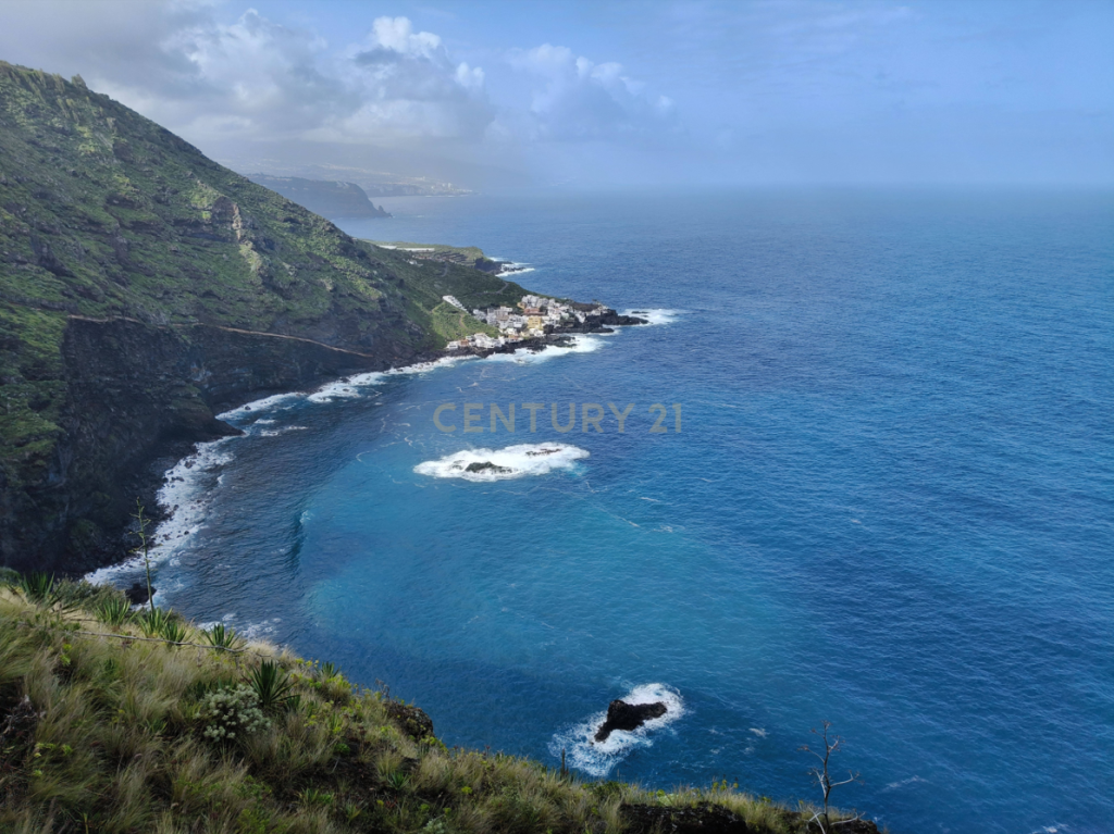 Featured Photo