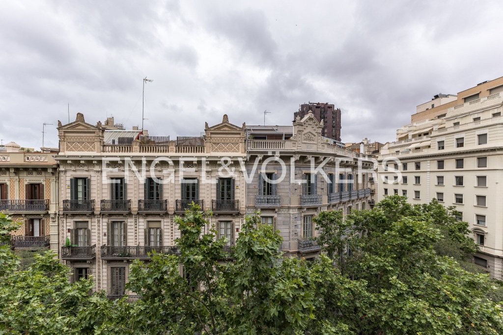 Featured Photo