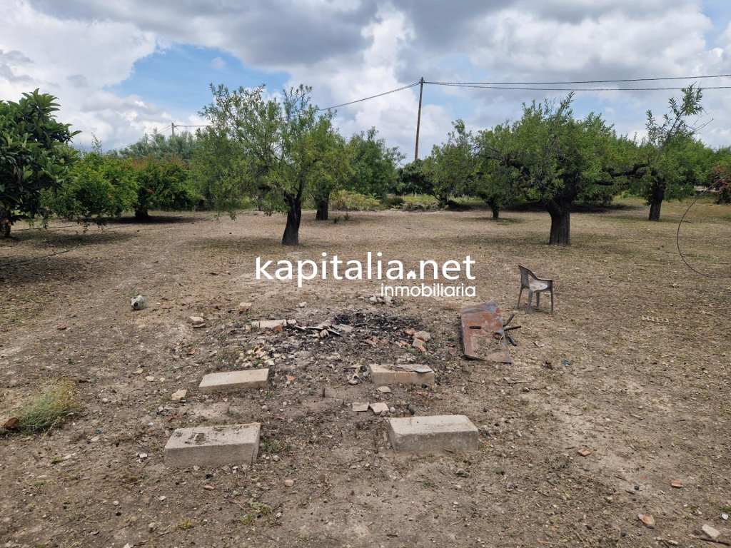 Featured Photo
