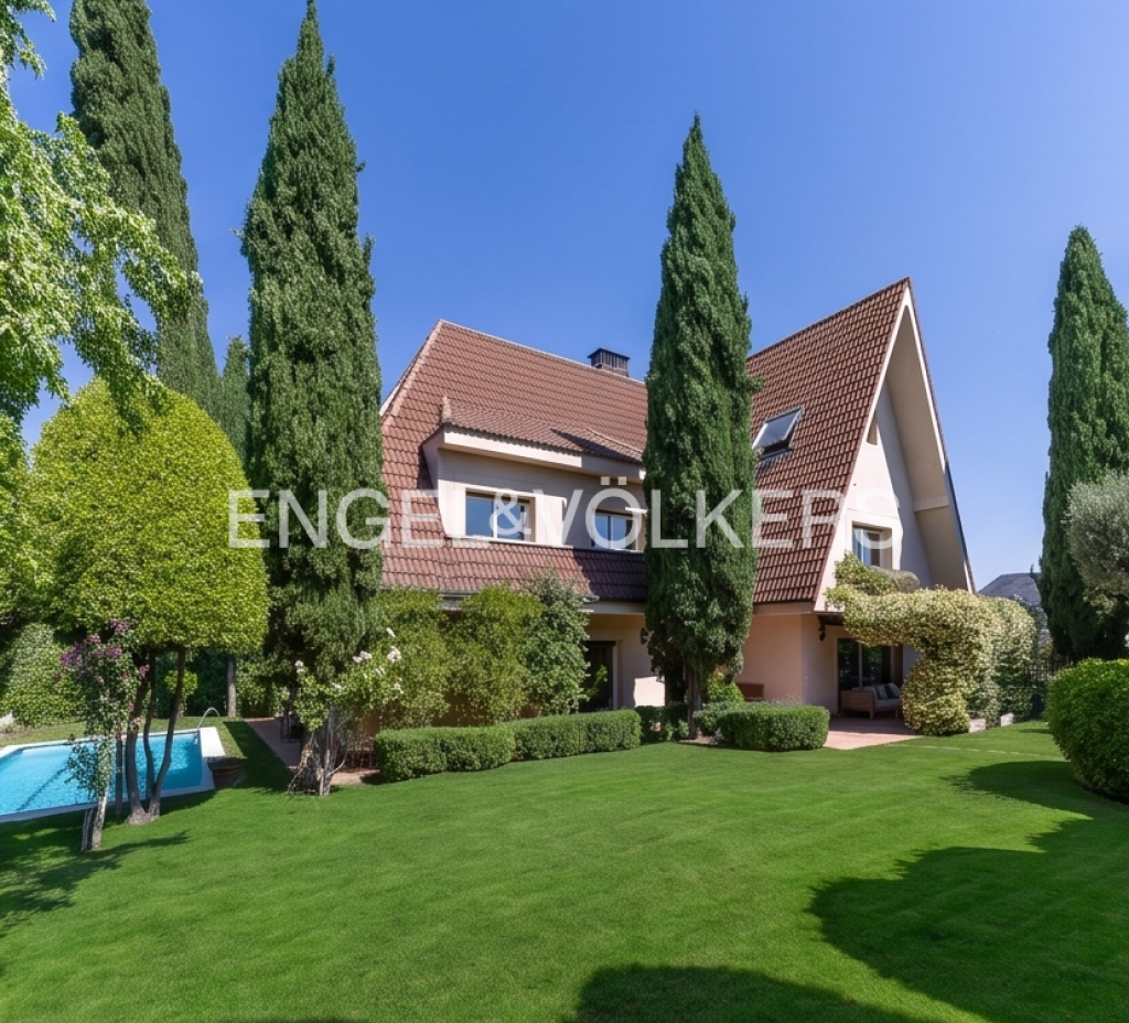Featured Photo
