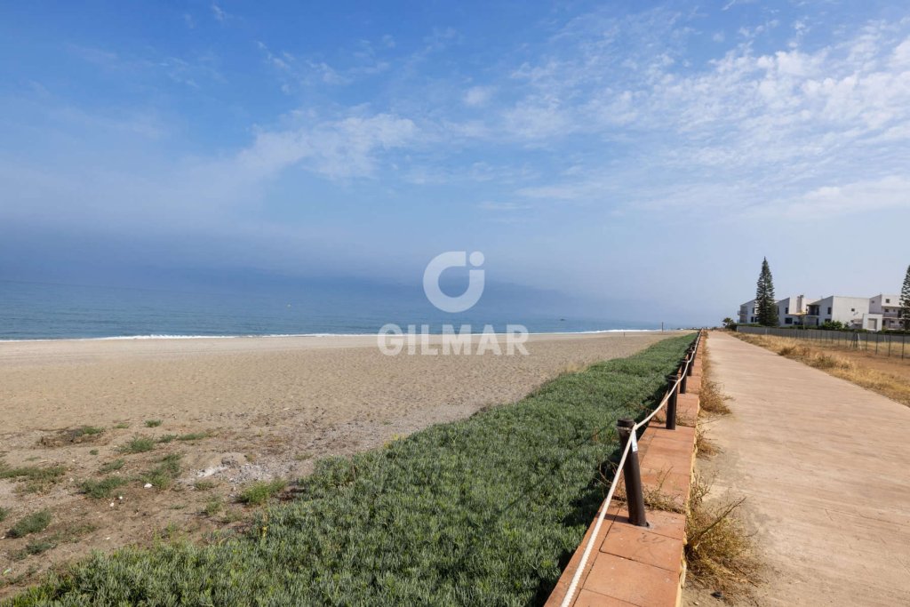 Featured Photo
