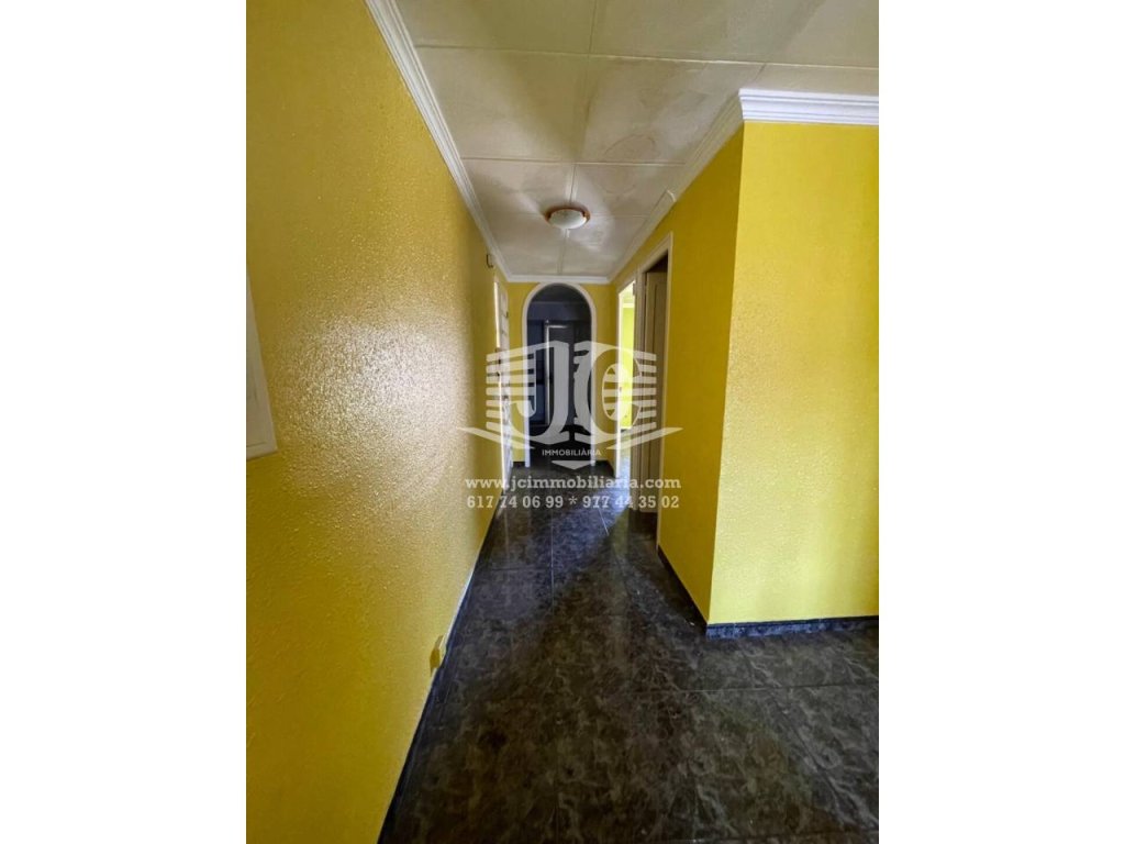 Featured Photo