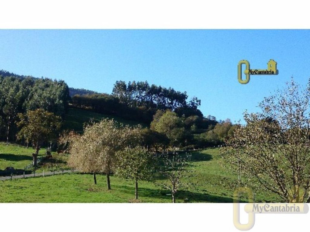 Featured Photo