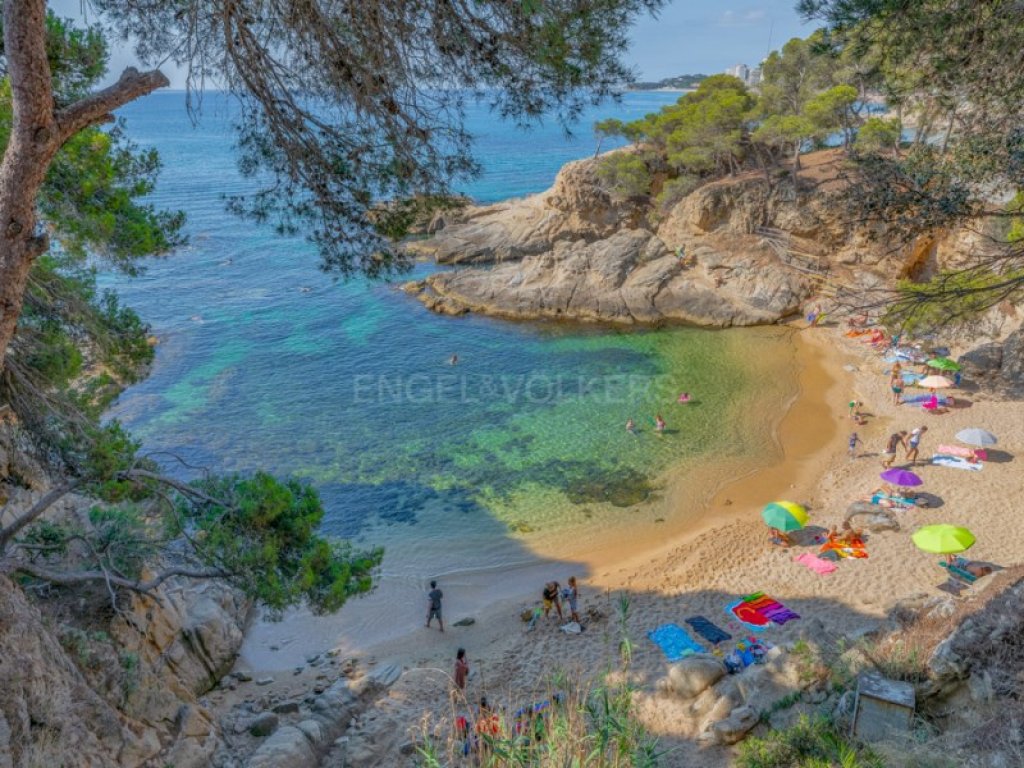 Featured Photo