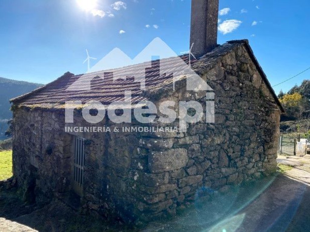 Featured Photo