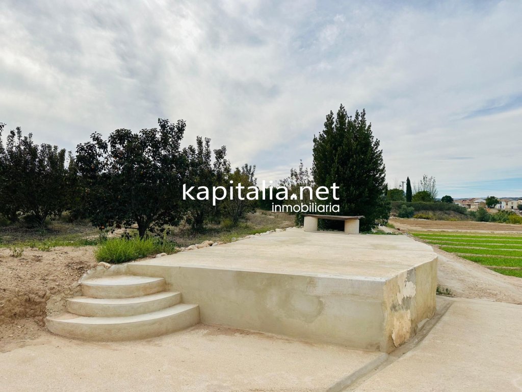 Featured Photo
