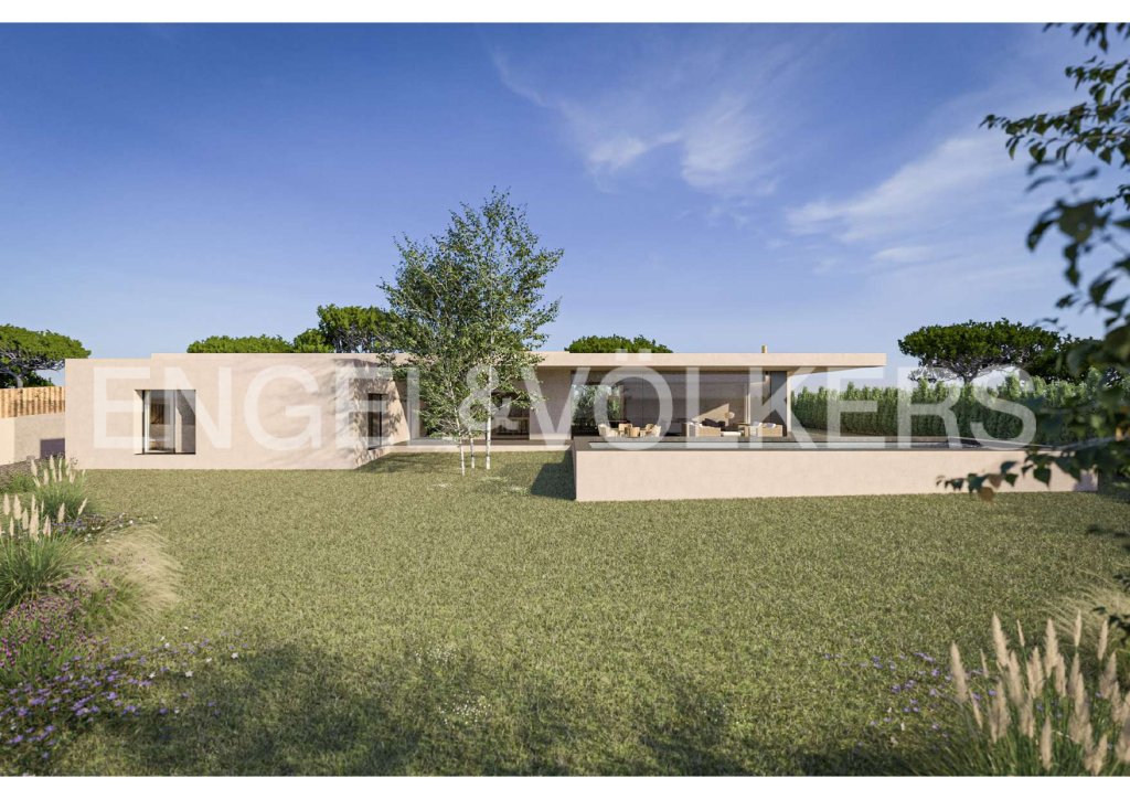 Featured Photo