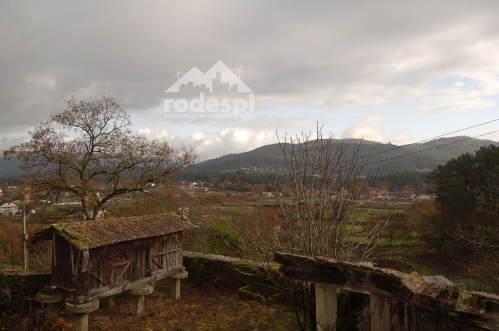 Featured Photo