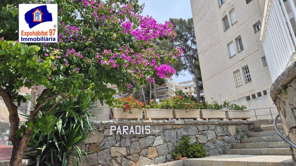 Featured Photo
