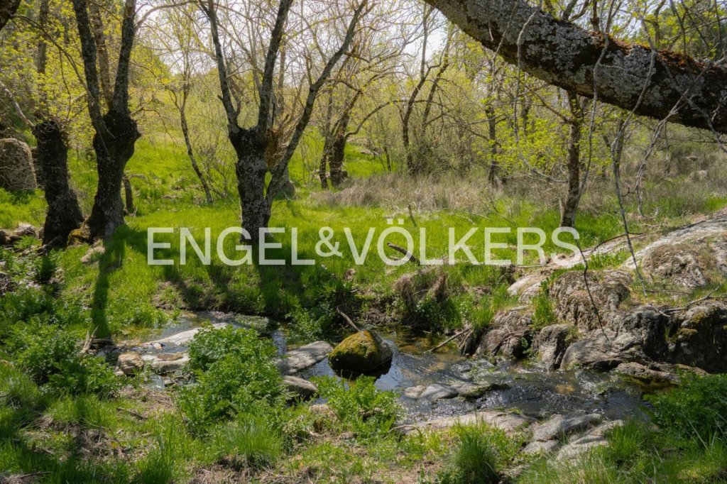 Featured Photo
