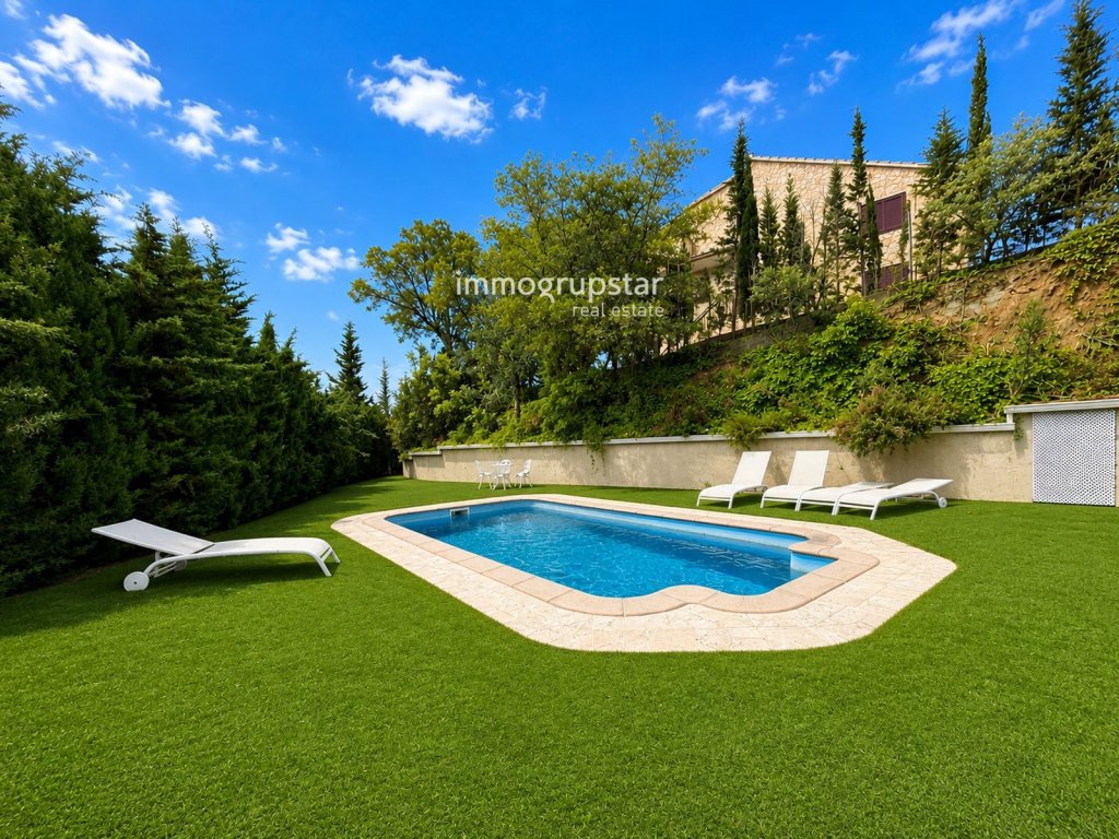 Featured Photo