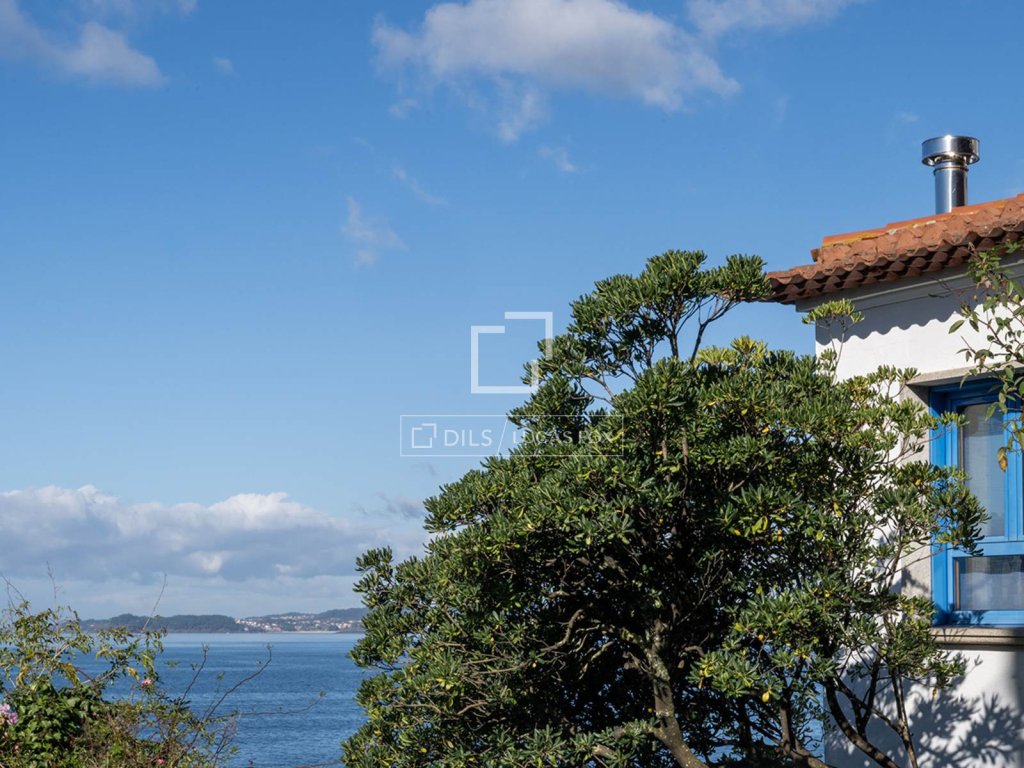 Featured Photo