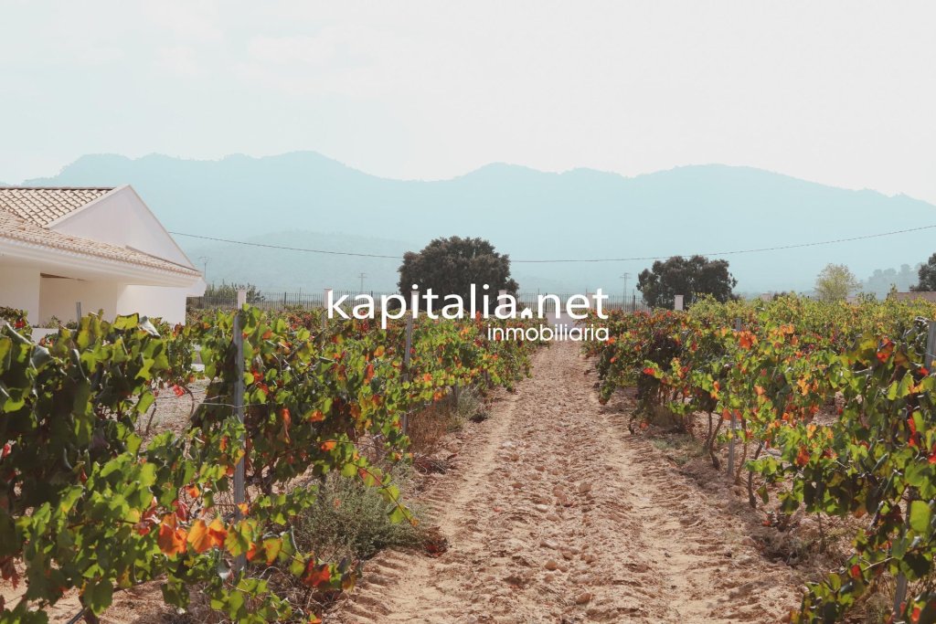 Featured Photo