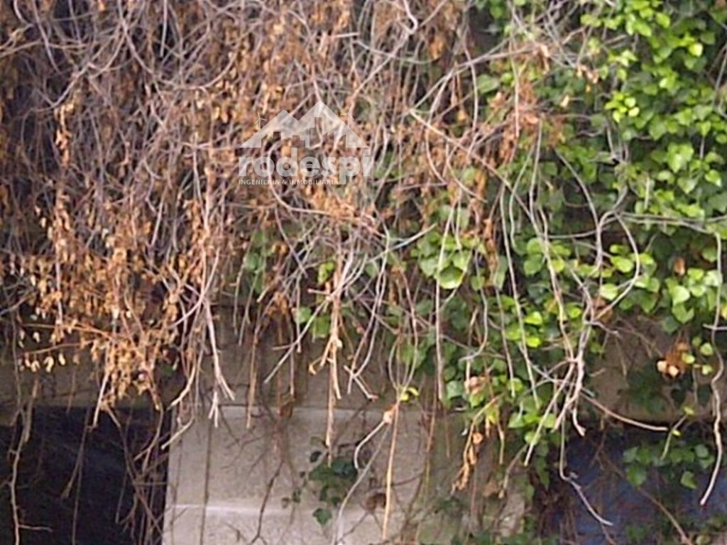 Featured Photo