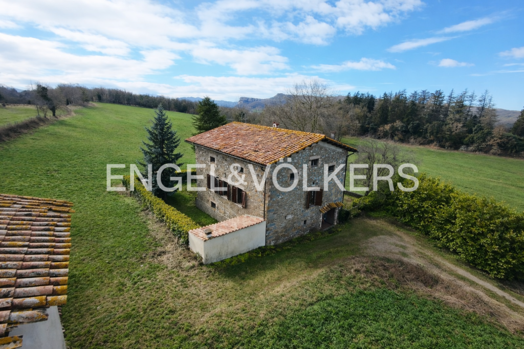 Featured Photo