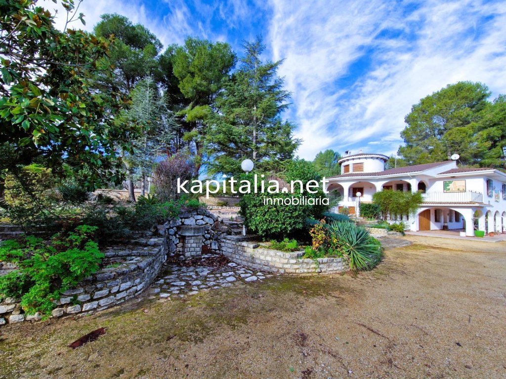 Featured Photo