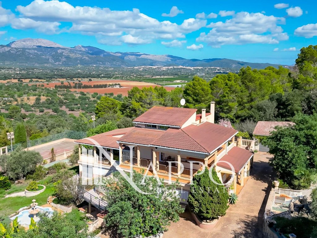 Featured Photo