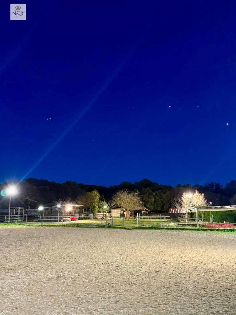 Featured Photo