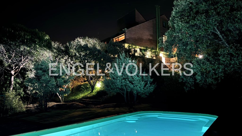 Featured Photo